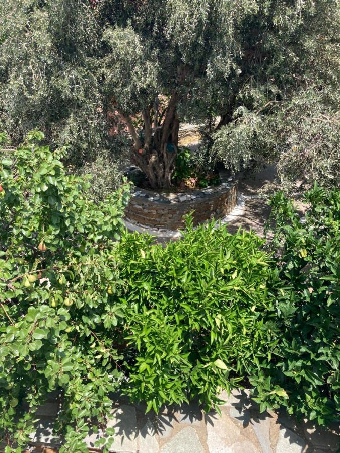 Agkyra Rooms Aladhinon Εξωτερικό φωτογραφία